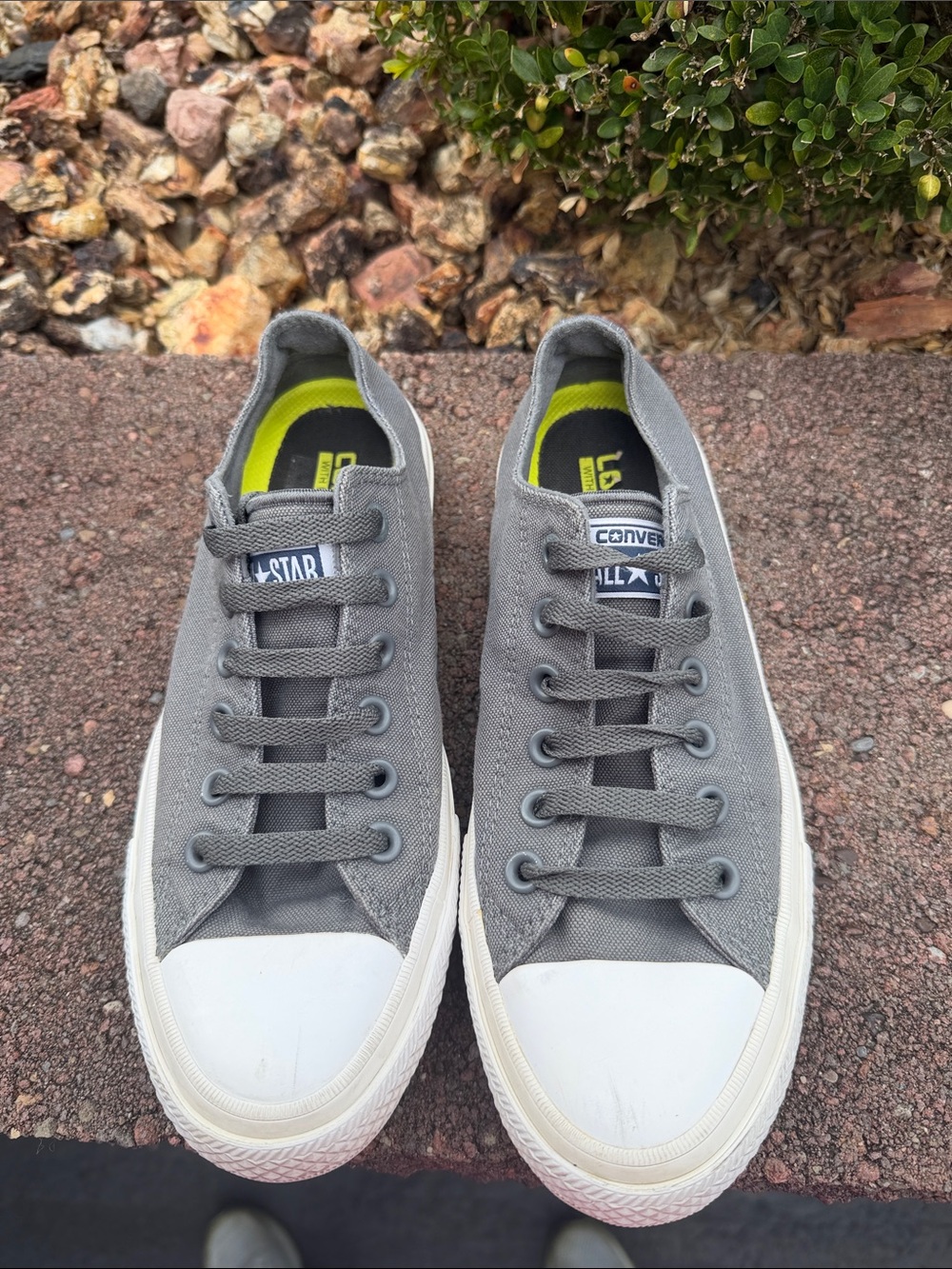 Converse Low Top Sneakers in Grey with White Toe